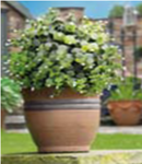 Искуственное растение Topiary Ball 30cm белые цветы